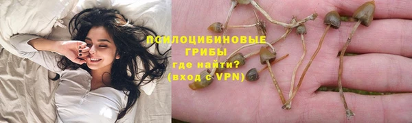 прущие крисы Щёлкино
