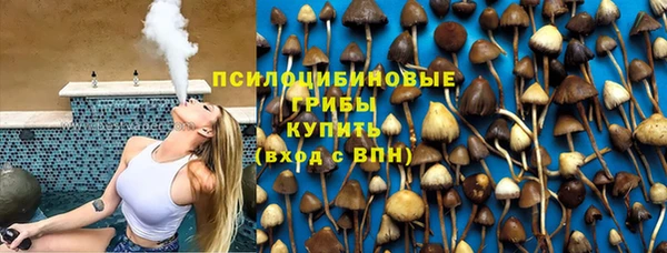 прущие крисы Щёлкино
