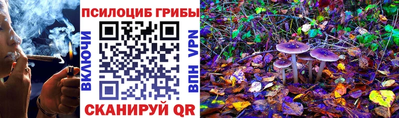 Псилоцибиновые грибы Cubensis  Апрелевка 